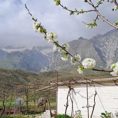 Aleko 펜션 Përmet