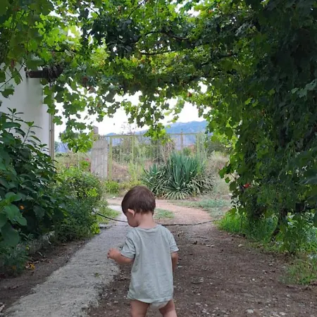 Aleko * Пермети