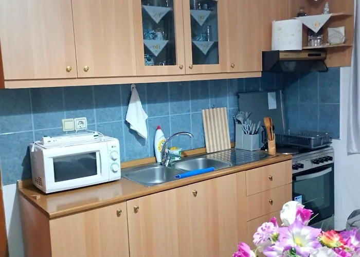 Aleko Hébergement de vacances *